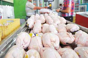 توزیع مرغ تنظیم بازاری در سطح شهر خرمشهر